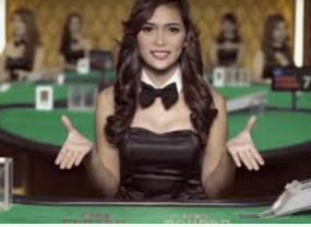 森林舞会电玩城桌面版客户端